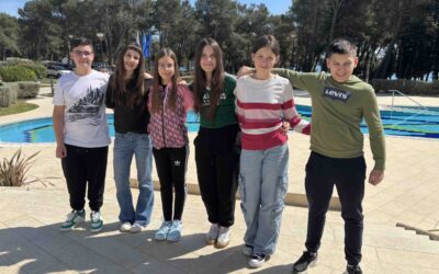 Novigradsko proljeće